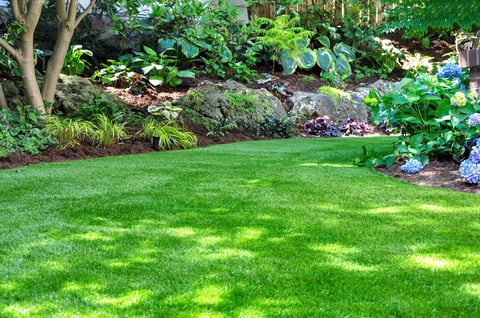Backyard woodland garden with artificial grass