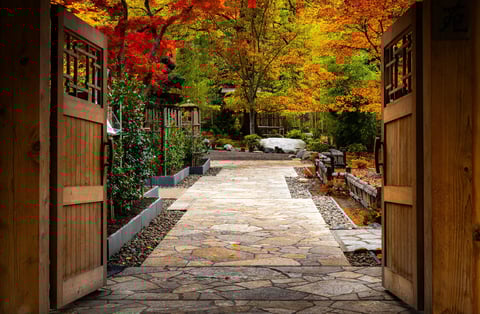 Japanese garden with autumn colors